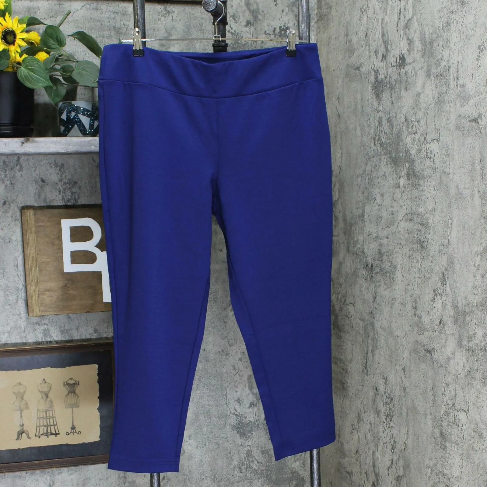 Bob Mackie Petite Pontichine Pull-On Ankle Pants
