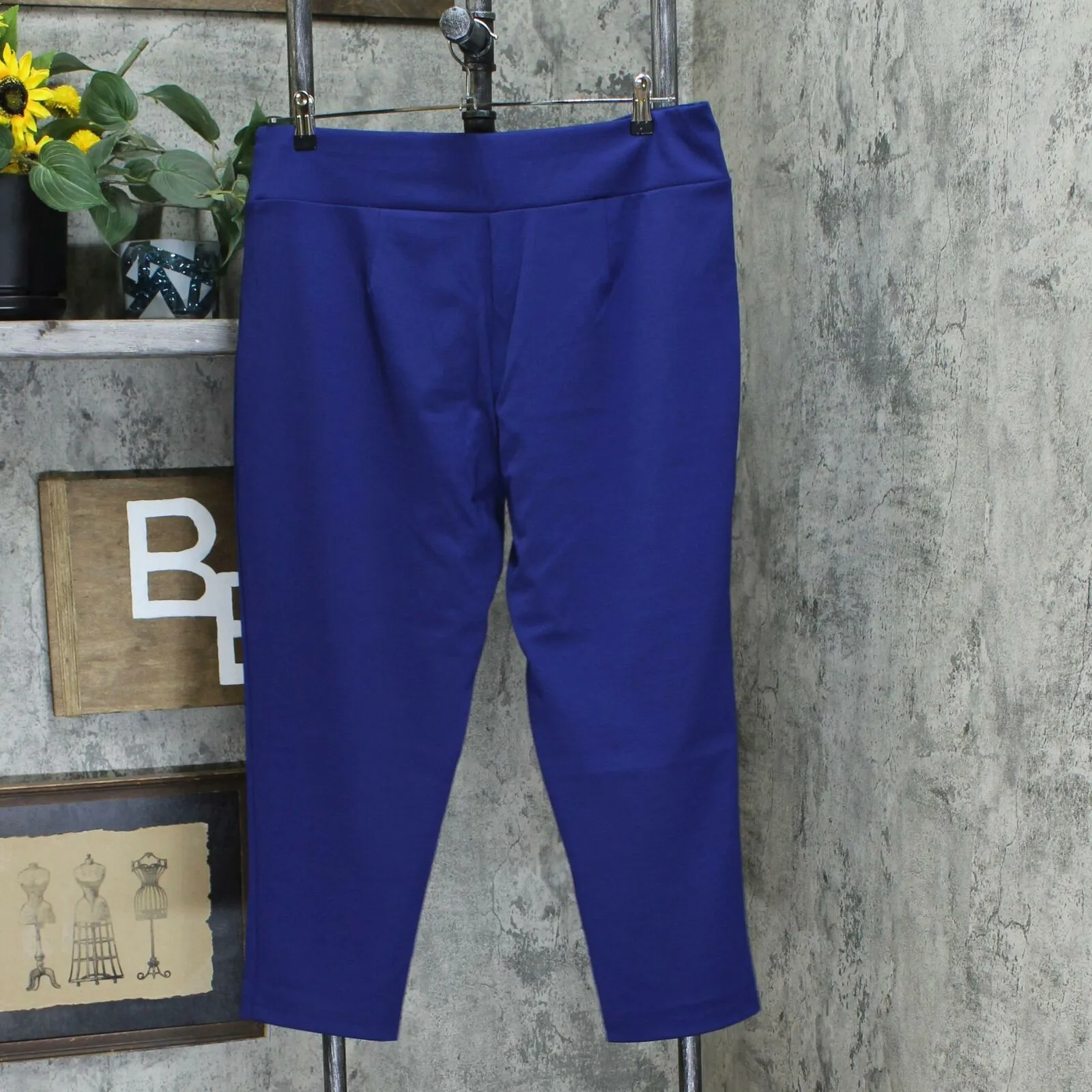 Bob Mackie Petite Pontichine Pull-On Ankle Pants
