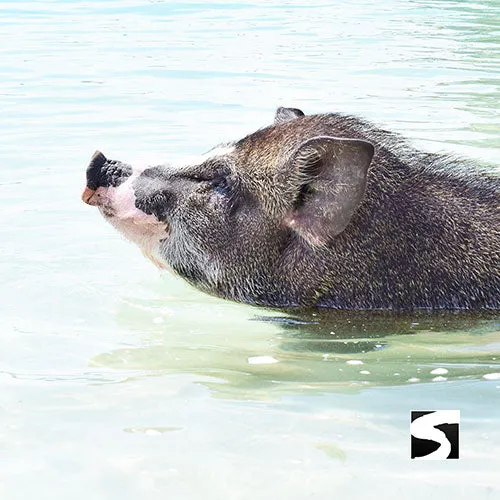 *Koh Samui Tours - Secret islands boat trip