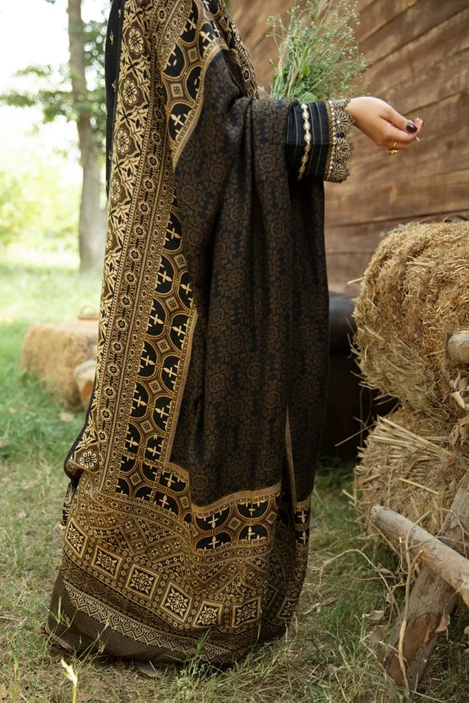 Pakistani Black Salwar Kameez for Party Wear #PN575