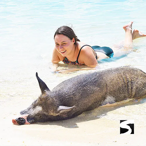 *Private Koh Samui Tours - Secret islands boat trip