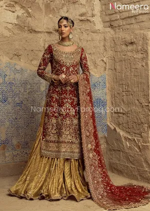 Traditional Gold and Red Bridal Dress Pakistani #BS668
