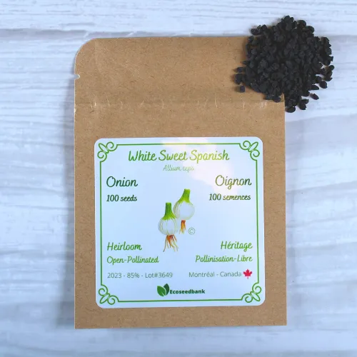 White Sweet Spanish Onion Seeds